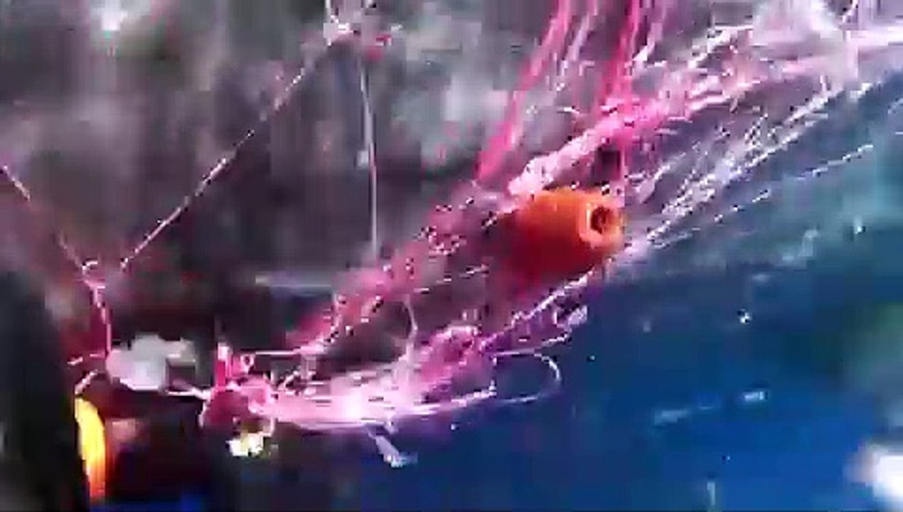 Reuters on Twitter- -Coastguard divers in Italy worked for hours to try and free a sperm whale entangled in a fishing net at sea https-__t