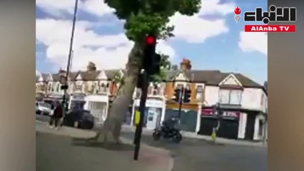 كادت الشجرة تقتلهما لولا العناية الالهية