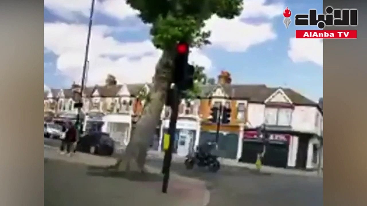 كادت الشجرة تقتلهما لولا العناية الالهية