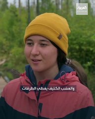 ممر خشبي في قلب غابة روسية للوصول إلى مهبط أول رائدي فضاء بالبلاد