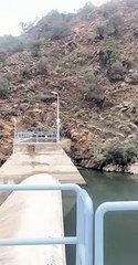 شاهد- نمر أسود نادر يقفز فوق الصخور بطريقة عجيبة ويفاجئ المتنزهين عند جبال ضرك بالباحة • صحيفة المرصد