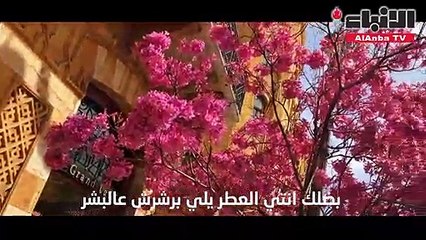 «ست الكل» أغنية تتغنى بحب «بيروت»