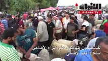 الفلسطينيون يتهافتون على شراء الأضاحي استعدادا لعيد الأضحى