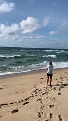 Shark Attacks Sick Dolphin On LBI