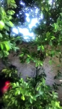 BOSS BITCH FIGHT Challenge: Full COMPILATION OF ALL ACTRESSES - Cameron Diaz, Margot Robbie, etc