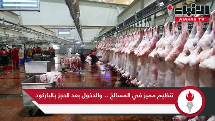 تنظيم مميز في المسالخ .. والدخول بعد الحجز بالباركود