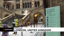 متحف التاريخ الطبيعي في لندن يستعد لاستقبال الزوار مجددا