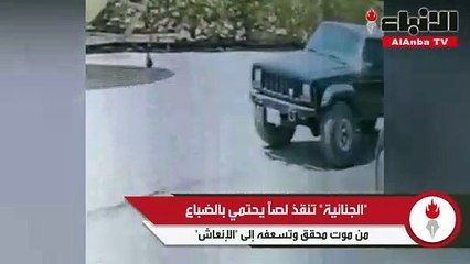 «الجنائية» تنقذ لصاً يحتمي بالضباع من موت محقق وتسعفه إلى «الإنعاش»