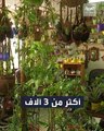 فيديو لعيادة طبيب أردني بها 3 آلاف نوع من الزهور