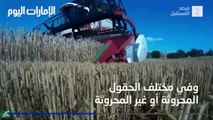 حصادات ذاتية التحكم تسجل رقما قياسيا في حقول القمح بروسيا