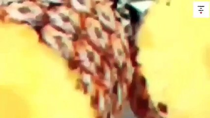 LAVANDA - AROMATIZANTE -  SISTEMA NERVIOSO