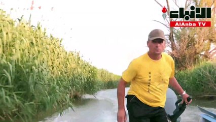 الحياة التقليدية لصيادي دلتا الدانوب تختفي