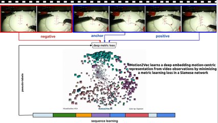 Motion2Vec- semi-supervised representation learning from surgical videos