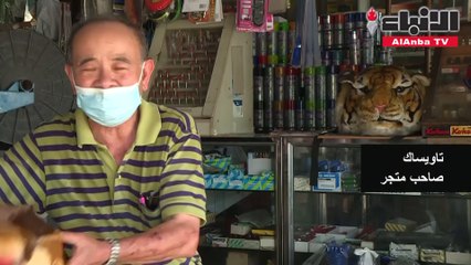 قردة خارجة عن السيطرة في مدينة تايلاندية