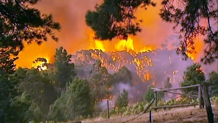 Concerns money raised for wildlife isn't enough