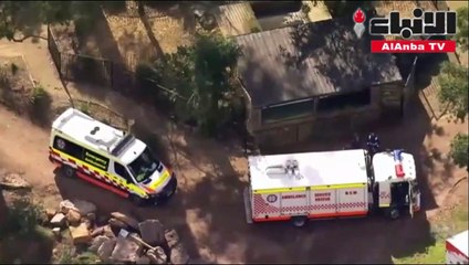 أسدان يهاجمان عاملة في حديقة حيوانات أسترالية