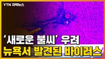 [자막뉴스] '새로운 불씨' 우려...미국 뉴욕에서 발견된 새로운 변이 바이러스 / YTN