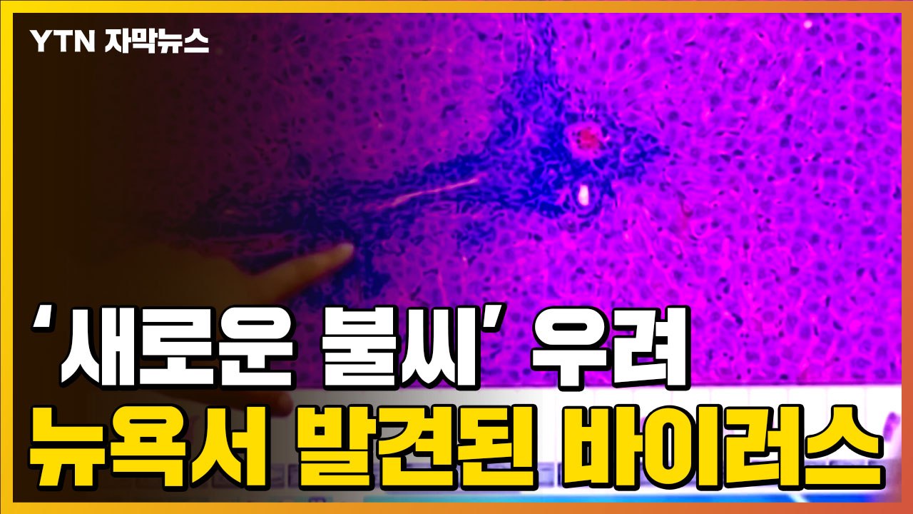 [자막뉴스] '새로운 불씨' 우려...미국 뉴욕에서 발견된 새로운 변이 바이러스 / YTN