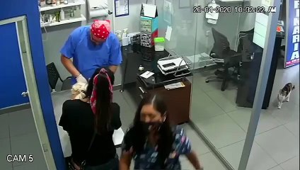 قط يدافع عن صديقه الكلب ويهاجم الطبيب البيطري