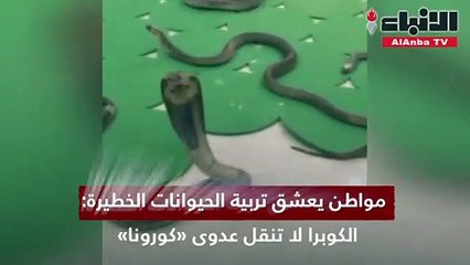 مواطن يعشق تربية الحيوانات: الخطيرة الكوبرا لا تنقل عدوى «كورونا»