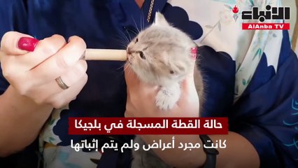 العازمي لـ "الأنباء": الكلاب والقطط لا تنقل عدوى كورونا ومقتنوها لن نتخلى عنها