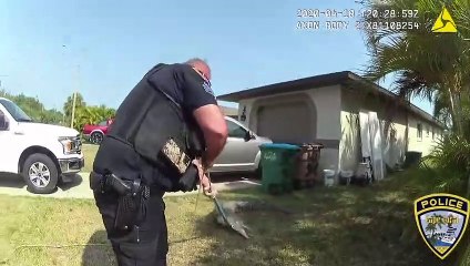 Just Another Day At The Office