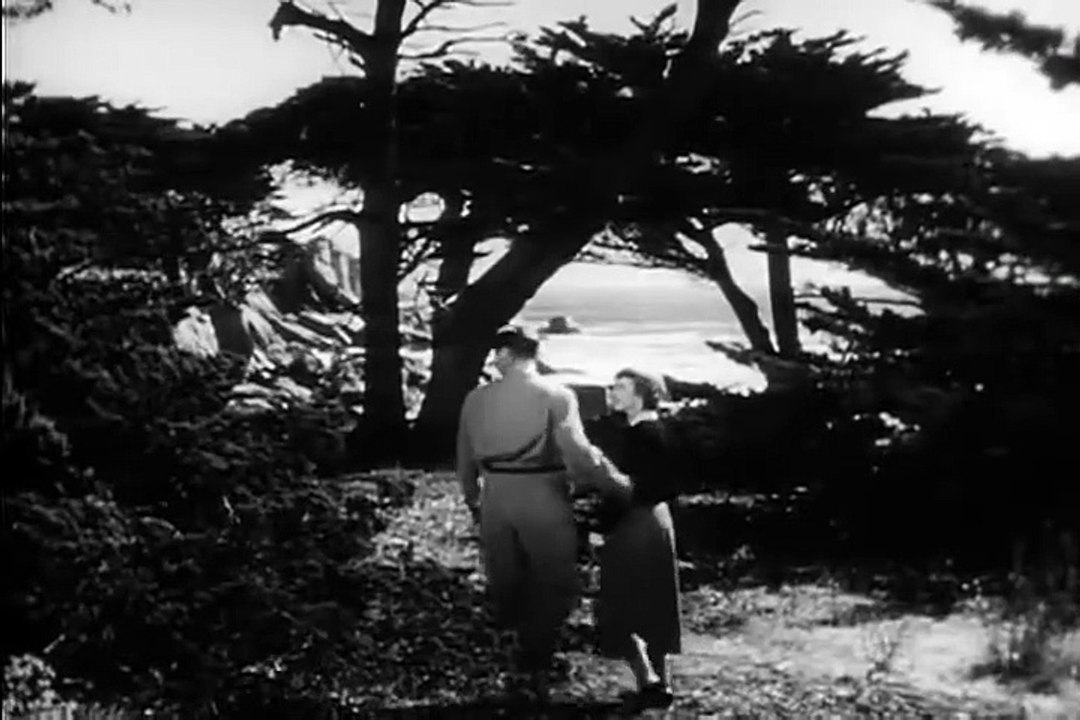 The Second Woman (1950) | Full Movie | Robert Young | Betsy Drake | John Sutton | Florence Bates part 1/2