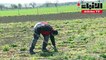 النمسويون يكتشفون الزراعة خلال أزمة كورونا ونقص العمالة الأجنبية