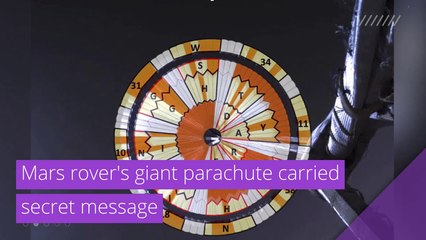 Mars rover's giant parachute carried secret message, and other top stories in strange news from February 26, 2021.