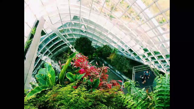 HOW WE CAN TRANSFORM THE PLANET INTO THE GREENEST, RENEWABLY SELF-SUSTAINING, PROLIFIC PARADISE