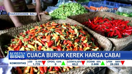 Download Video: Cuaca Buruk Jadi Faktor Petani Gagal Panen, Harga Cabai Melonjak Naik!