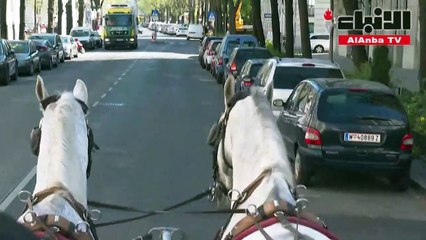 عربات الخيول