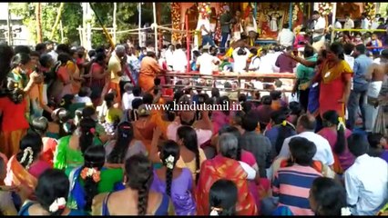 அருள்மிகு கல்யாணசுந்தரர் திருக்கல்யாணம் - நேரலை