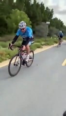 طائر ينضم لسباق الدراجات في دبي