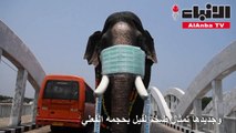 تمثال فيل يضع قناعا للتوعية لضرورة الوقاية من كورونا في الهند