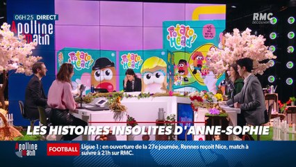 "Les 3 histoires d'Anne-Sophie" : Un homme simule un kidnapping pour ne pas aller travailler, la marque Monsieur Patate va disparaitre, et un mouton errant délesté de 35kg de laine - 26/02
