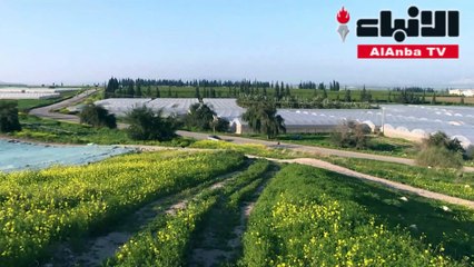 أهالي غور الأردن يتخوفون من ضم أرضهم إلى إسرائيل بعد فوز نتانياهو