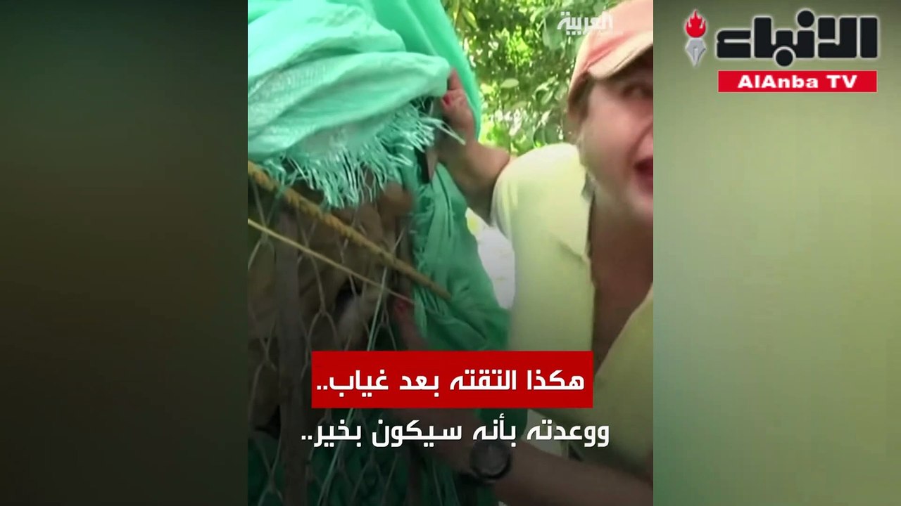 أسد 2