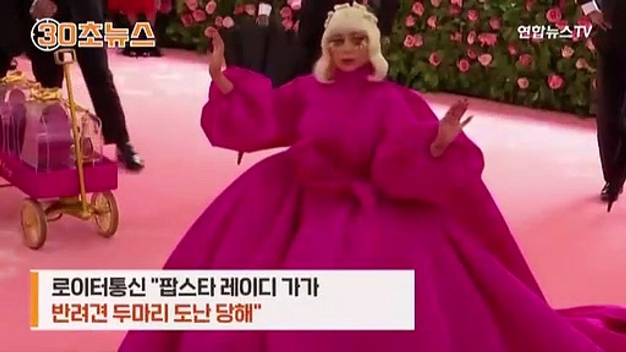 [30초뉴스] 레이디 가가, 반려견 2마리 도난…"현상금 5억6천만원"