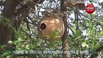 Video: इस शख्स ने घर में ही बना दिया पक्षियों का आशियाना, CCTV से रखते हैं इन पर नजर