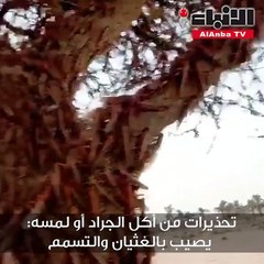 تحذيرات من أكل الجراد أو لمسه يصيب بالغثيان والتسمم