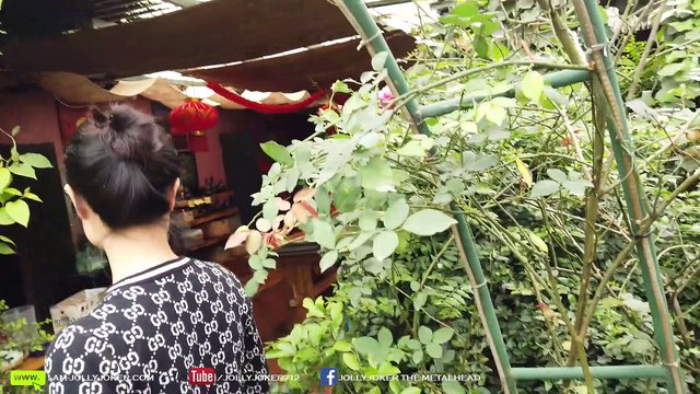 Riding Motorcycle in Vietnam - Eating a YUMMY Hotpot of Catfish in a Beautiful Rose Garden