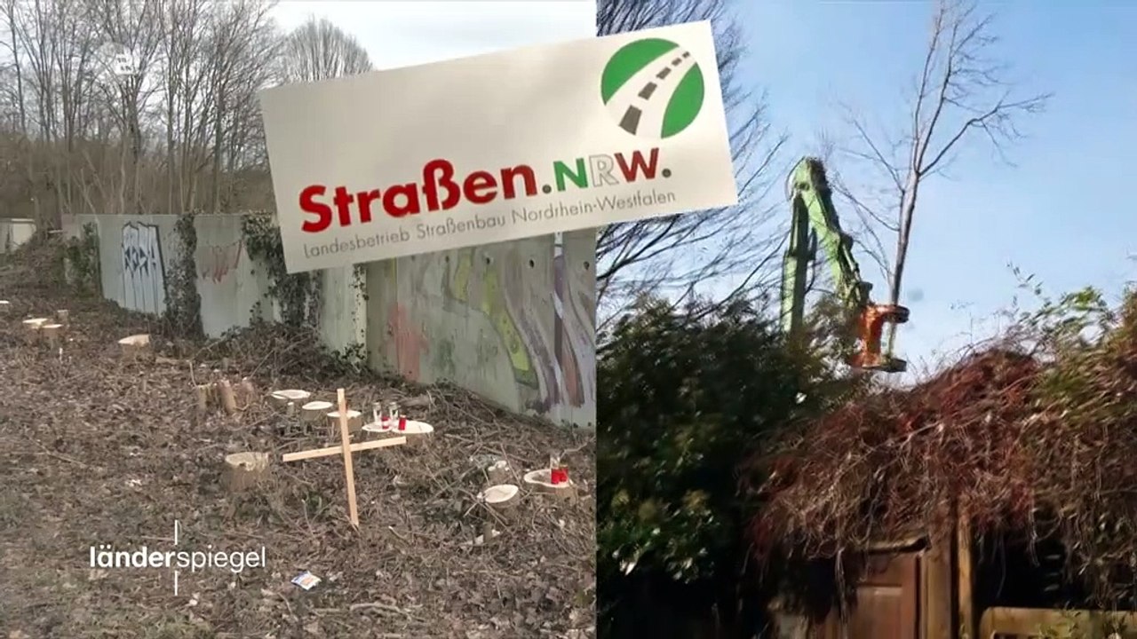 -Landesbetrieb holzt Straßenbäume weg-Hammer-