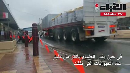 الأمطار تخفف حرائق أستراليا وبرج خليفة يتضامن