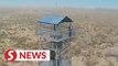 Witnessed by Satellites: Magical green handshake appears on desert