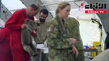 معالجة عشرات حيوانات الكوالا في مستشفى ميداني في جزيرة الكنغر