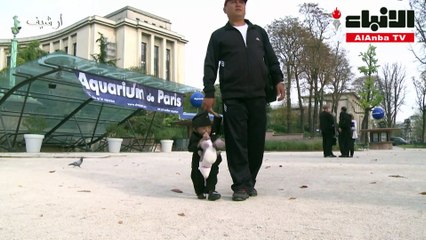 وفاة أقصر رجل في العالم