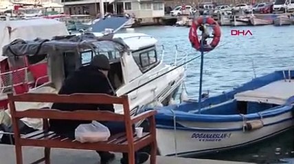 Balon balığının derisi, yeni istihdam alanı sağlayacak