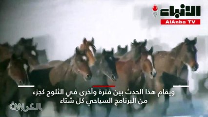 خيول الجنةتركض سويا فوق الثلوج في الصين