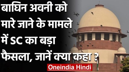 Yavatmal 2018 Tigress Case: Supreme Court ने कहा-  अवनी को हमारे आदेश से मारा गया | वनइंडिया हिंदी